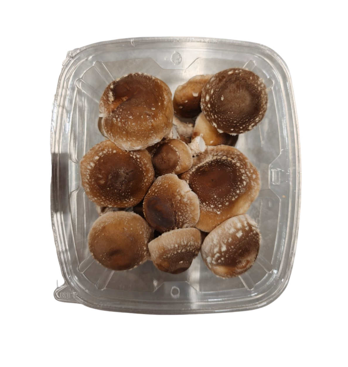 Close-up of fresh shiitake mushroom caps in open container — brown, meaty texture, indoor-grown in Egypt by Raw Urth, perfect for stir-fry and soups