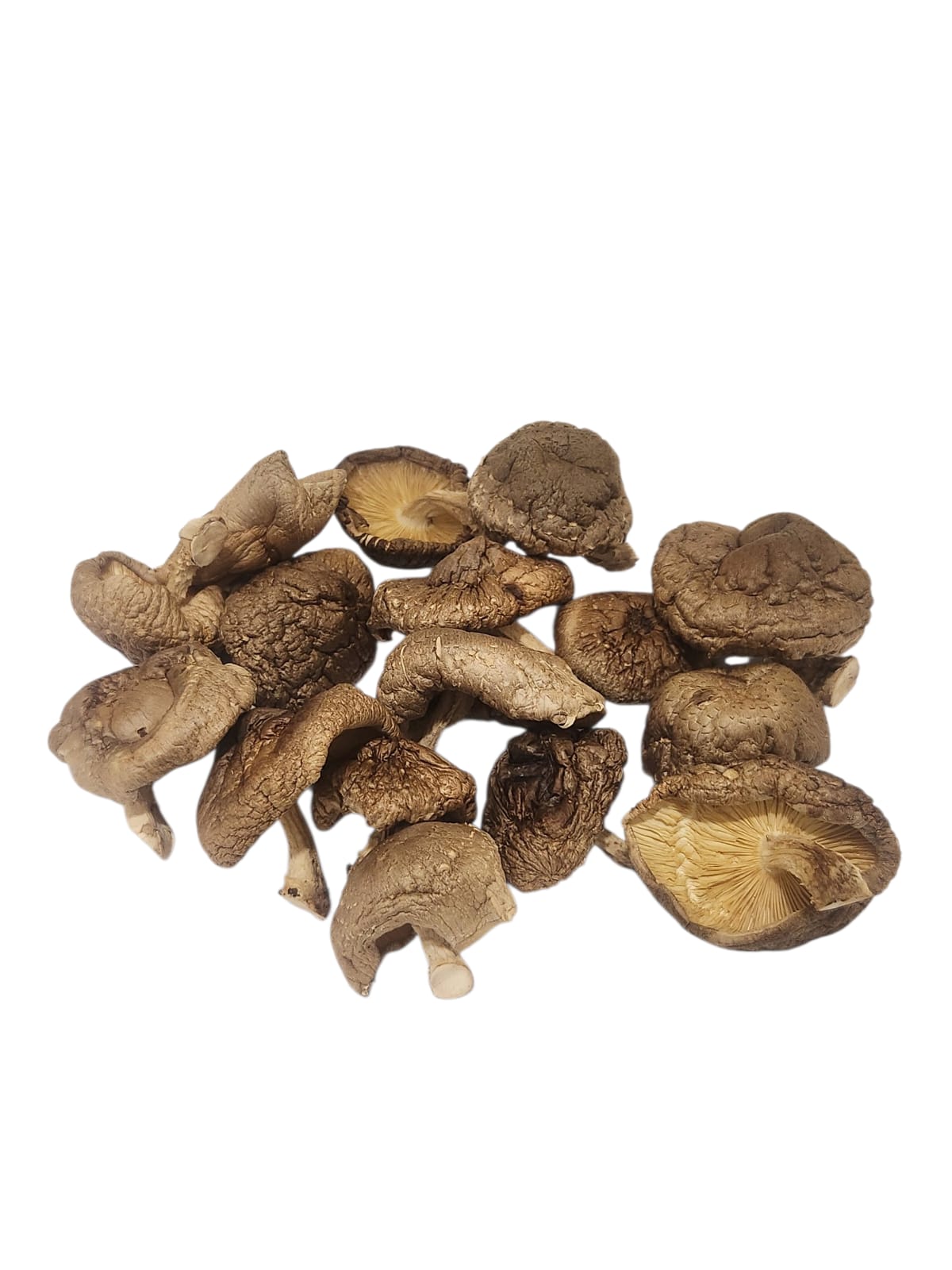 Dried shiitake mushrooms on a white background, perfect for enhancing soups and stir-fries.